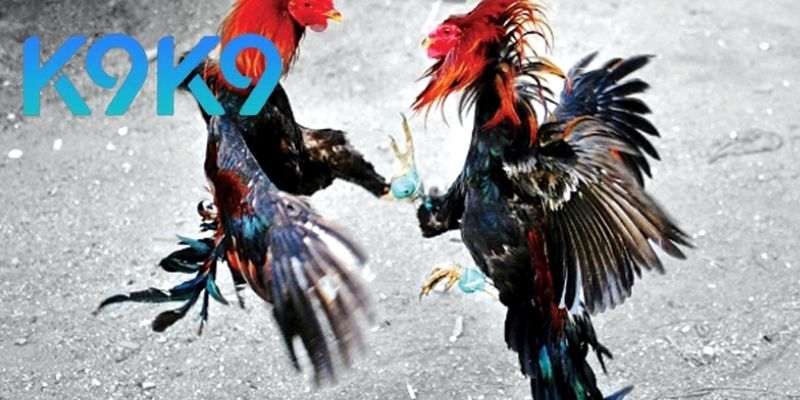 Chiến lược thông minh để tăng cơ hội thắng