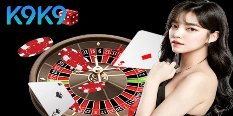 Giới thiệu K9K9 - Trải nghiệm người dùng và giá trị thực tế